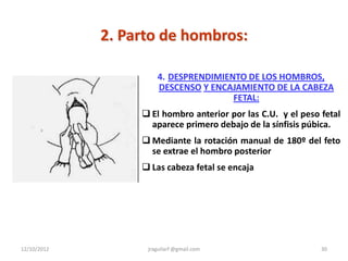 2. Parto de hombros:

                      4. DESPRENDIMIENTO DE LOS HOMBROS,
                      DESCENSO Y ENCAJAMIENTO DE LA CABEZA
                                      FETAL:
                   El hombro anterior por las C.U. y el peso fetal
                    aparece primero debajo de la sínfisis púbica.
                   Mediante la rotación manual de 180º del feto
                    se extrae el hombro posterior
                   Las cabeza fetal se encaja




12/10/2012         jraguilarf @gmail.com                      30
 