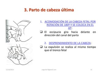 3. Parto de cabeza última

                    1. ACOMODACIÓN DE LA CABEZA FETAL POR
                         ROTACIÓN DE 180º Y SE COLOCA EN EL
                                           AP:
                     El occipucio gira hacia delante en
                       dirección del canal del parto

                      2. DESPRENDIMIENTO DE LA CABEZA:
                     La expulsión se realiza al mismo tiempo
                      que el tronco fetal




12/10/2012           jraguilarf @gmail.com               31
 