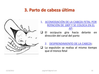 3. Parto de cabeza última

                    1. ACOMODACIÓN DE LA CABEZA FETAL POR
                         ROTACIÓN DE 180º Y SE COLOCA EN EL
                                           AP:
                     El occipucio gira hacia delante en
                       dirección del canal del parto

                      2. DESPRENDIMIENTO DE LA CABEZA:
                     La expulsión se realiza al mismo tiempo
                      que el tronco fetal




12/10/2012           jraguilarf @gmail.com               32
 