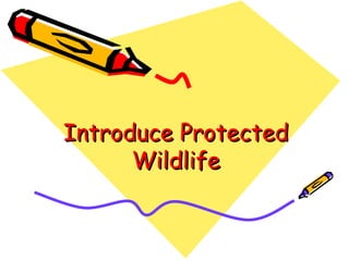 Introduce Protected Wildlife 