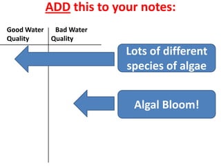 ADD this to your notes:
Good Water  Bad Water
Quality    Quality
                        Lots of different
                        species of algae


                         Algal Bloom!
 