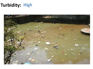 Turbidity: High
 