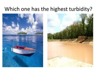 Which one has the highest turbidity?
 