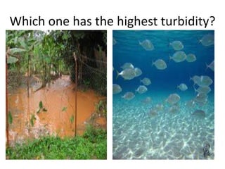 Which one has the highest turbidity?
 
