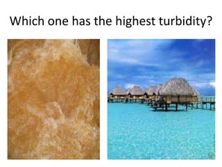 Which one has the highest turbidity?
 