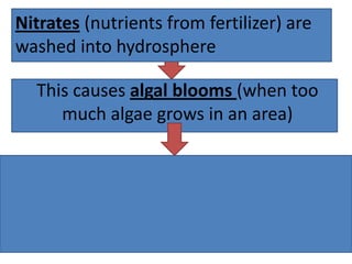 Nitrates (nutrients from fertilizer) are
washed into hydrosphere

  This causes algal blooms (when too
     much algae grows in an area)
 