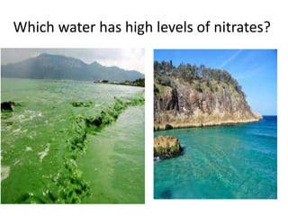 Which water has high levels of nitrates?
 