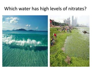 Which water has high levels of nitrates?
 