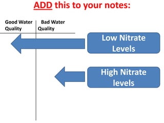 ADD this to your notes:
Good Water  Bad Water
Quality    Quality
                          Low Nitrate
                            Levels

                         High Nitrate
                            levels
 