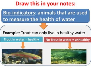 Draw this in your notes:
Bio-indicators: animals that are used
to measure the health of water

Example: Trout can only live in healthy water
Trout in water = healthy   No Trout in water = unhealthy
 