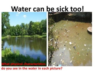 Water can be sick too!




What physical characteristics
do you see in the water in each picture?
 