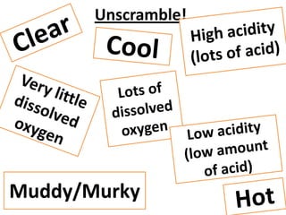 Unscramble!




Muddy/Murky
 
