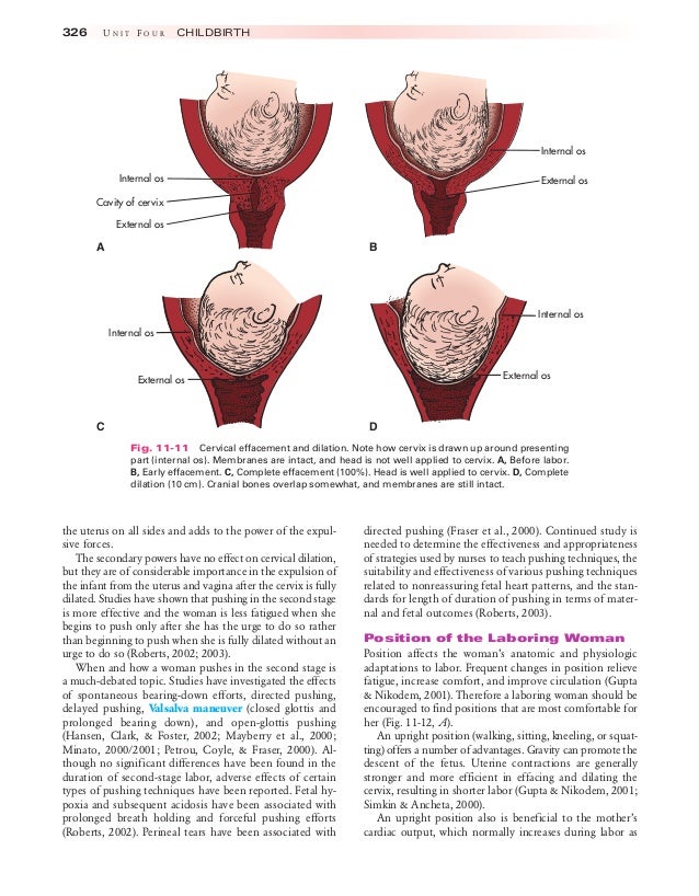 316 336 ch11lowdermilk.qxd