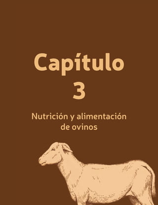 · 52 · Manual para la producción de ovinos en la región Caribe de Colombia
Capítulo
3
Nutrición y alimentación
de ovinos
 