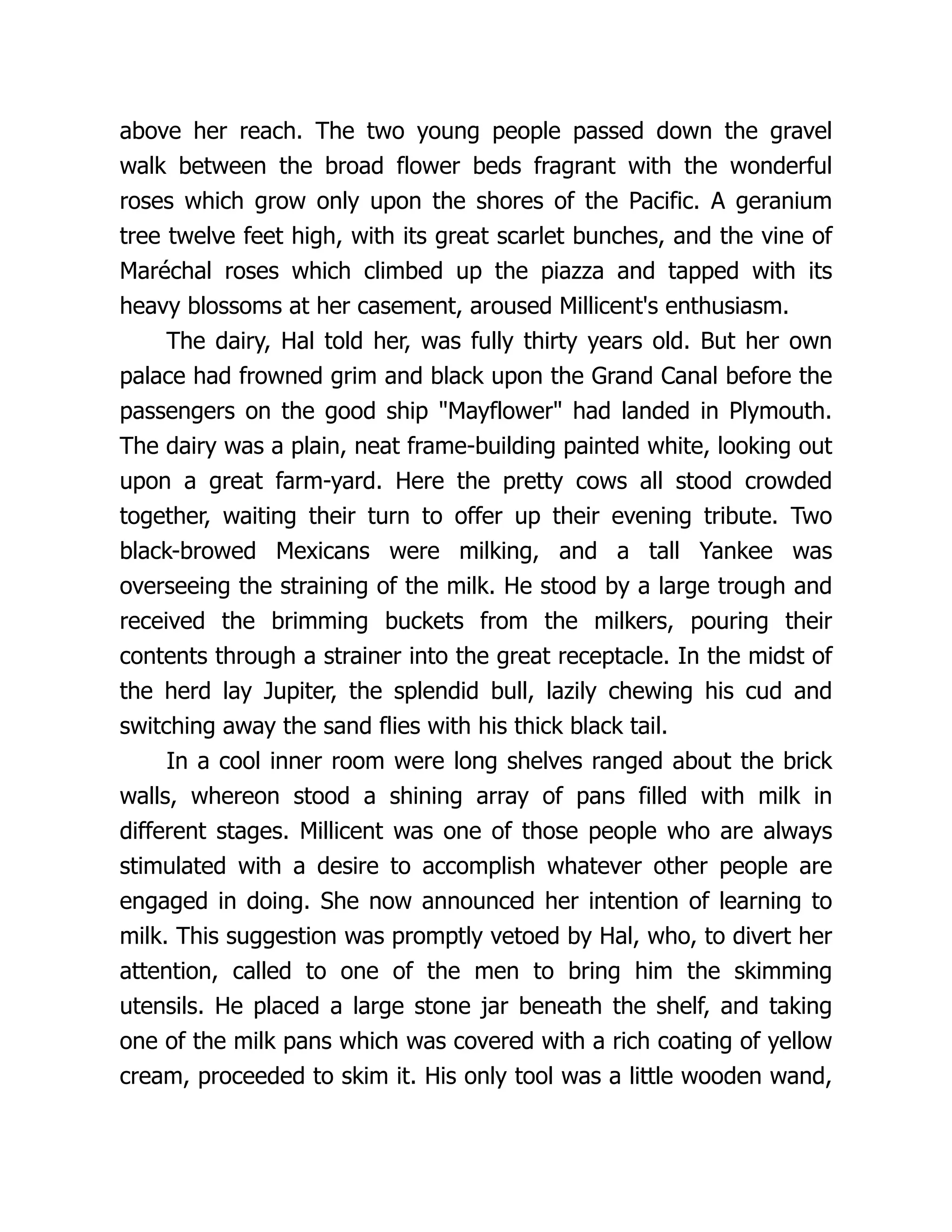 above her reach. The two young people passed down the gravel
walk between the broad flower beds fragrant with the wonderful
roses which grow only upon the shores of the Pacific. A geranium
tree twelve feet high, with its great scarlet bunches, and the vine of
Maréchal roses which climbed up the piazza and tapped with its
heavy blossoms at her casement, aroused Millicent's enthusiasm.
The dairy, Hal told her, was fully thirty years old. But her own
palace had frowned grim and black upon the Grand Canal before the
passengers on the good ship "Mayflower" had landed in Plymouth.
The dairy was a plain, neat frame-building painted white, looking out
upon a great farm-yard. Here the pretty cows all stood crowded
together, waiting their turn to offer up their evening tribute. Two
black-browed Mexicans were milking, and a tall Yankee was
overseeing the straining of the milk. He stood by a large trough and
received the brimming buckets from the milkers, pouring their
contents through a strainer into the great receptacle. In the midst of
the herd lay Jupiter, the splendid bull, lazily chewing his cud and
switching away the sand flies with his thick black tail.
In a cool inner room were long shelves ranged about the brick
walls, whereon stood a shining array of pans filled with milk in
different stages. Millicent was one of those people who are always
stimulated with a desire to accomplish whatever other people are
engaged in doing. She now announced her intention of learning to
milk. This suggestion was promptly vetoed by Hal, who, to divert her
attention, called to one of the men to bring him the skimming
utensils. He placed a large stone jar beneath the shelf, and taking
one of the milk pans which was covered with a rich coating of yellow
cream, proceeded to skim it. His only tool was a little wooden wand,
 
