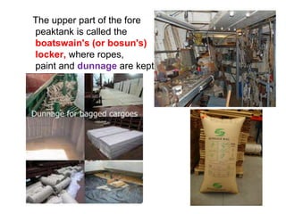The upper part of the fore
peaktank is called the
boatswain's (or bosun's)
locker, where ropes,
paint and dunnage are kept.
 