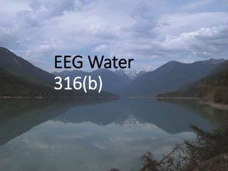 EEG Water
316(b)
 