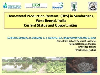 Homestead Production Systems (HPS) in Sundarbans,
West Bengal, India
Current Status and Opportunities
SUBHASIS MANDAL, D. BURMAN, S. K. SARANGI, B.K. BANDYOPADHYAY AND B. MAJI
Central Soil Salinity Research Institute
Regional Research Station
CANNING TOWN
West Bengal (India)
 