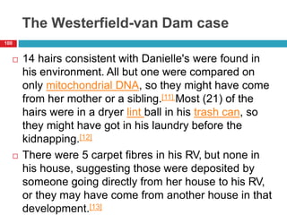 The Westerfield-van Dam case
 14 hairs consistent with Danielle's were found in
his environment. All but one were compared on
only mitochondrial DNA, so they might have come
from her mother or a sibling.[11] Most (21) of the
hairs were in a dryer lint ball in his trash can, so
they might have got in his laundry before the
kidnapping.[12]
 There were 5 carpet fibres in his RV, but none in
his house, suggesting those were deposited by
someone going directly from her house to his RV,
or they may have come from another house in that
development.[13]
100
 