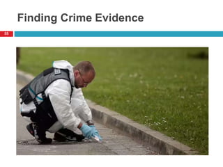 Finding Crime Evidence
55
 