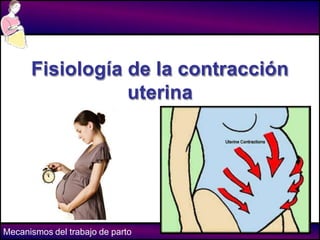 Mecanismos del trabajo de parto
Fisiología de la contracción
uterina
 