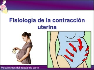 Mecanismos del trabajo de parto
Fisiología de la contracción
uterina
 