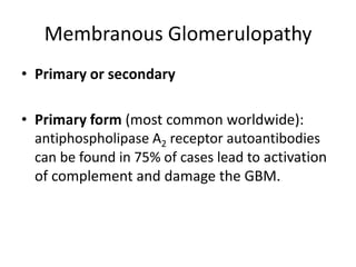Membranous Glomerulopathy
• Primary or secondary
• Primary form (most common worldwide):
antiphospholipase A2 receptor autoantibodies
can be found in 75% of cases lead to activation
of complement and damage the GBM.
 