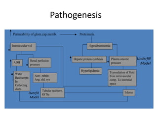 Pathogenesis
Permeability of glom.cap.memb. Proteinuria
Intravascular vol
ADH
Renal perfusion
pressure
Water
Reabsorptn
In
Collecting
ducts
Actv. reinin
Ang. ald. sys
Tubular reabsorp.
Of Na
Hypoalbuminemia
Hepatic protein synthesis Plasma oncotic
pressure
Hyperlipidemia Transudation of fluid
from intravascular
comp. To interstial
space
Edema
Underfill
Model
Overfill
Model
 