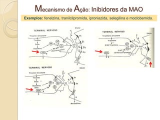 Exemplos: fenelzina, tranilcilpromida, iproniazida, selegilina e moclobemida.
Mecanismo de Ação: Inibidores da MAO
 
