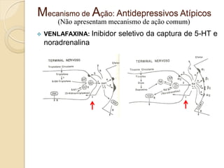 Mecanismo de Ação: Antidepressivos Atípicos
(Não apresentam mecanismo de ação comum)
 VENLAFAXINA: Inibidor seletivo da captura de 5-HT e
noradrenalina
 
