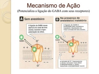 Mecanismo de Ação
(Potencializa a ligação do GABA com seus receptores)
 