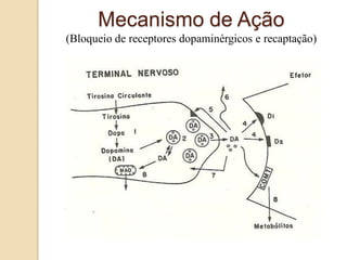 Mecanismo de Ação
(Bloqueio de receptores dopaminérgicos e recaptação)
 