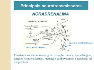 Principais neurotransmissores
NORADRENALINA
Envolvida no ritmo sono/vigília, emoção, humor, aprendizagem,
funções neuroendócrinas, regulação cardiovascular e regulação da
temperatura.
catecol-o-metiltransferase
mono amino oxidase
 