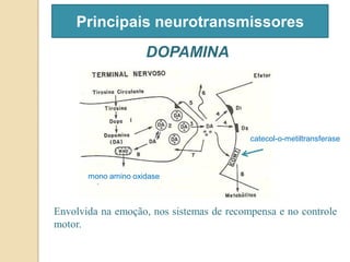 Principais neurotransmissores
DOPAMINA
Envolvida na emoção, nos sistemas de recompensa e no controle
motor.
catecol-o-metiltransferase
mono amino oxidase
 