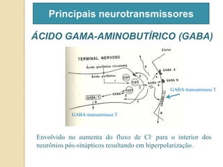 Principais neurotransmissores
ÁCIDO GAMA-AMINOBUTÍRICO (GABA)
Envolvido no aumenta do fluxo de Cl- para o interior dos
neurônios pós-sinápticos resultando em hiperpolarização.
GABA-transaminase T
GABA-transaminase T
 