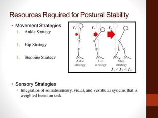 Resources Required for Postural Stability
• Movement Strategies
1. Ankle Strategy
1. Hip Strategy
1. Stepping Strategy
• Sensory Strategies
• Integration of somatosensory, visual, and vestibular systems that is
weighted based on task.
 