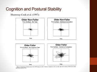 Cognition and Postural Stability
Shumway-Cook et al. (1997):
 
