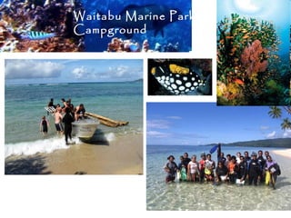 Waitabu Marine Park &
Campground
 