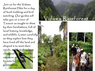 Join us for the Vidawa
Rainforest Hike for a day
of bush trekking and bird
watching. Our guides will
take you on a tour of
Taveuni as taught to them
by their forefathers, full of
local history, knowledge,
and wildlife. Listen carefully
as they explain how they
have lived off the land and
shaped it to meet their
needs, and how they have
come realize the need to
conserve and protect their
forests for future
generations.
Vidawa Rainforest
Hike
 
