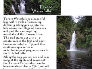 Tavoro
Waterfalls
Tavoro Waterfalls is a beautiful
hike with 3 trails of increasing
difficulty taking you up into the
hills above the village of Korovou
and past the awe inspiring
waterfalls of the Tavoro River.
The trail starts out with a 10
minute walk to the first and most
famous waterfall of Fiji, and then
continues up a series of
switchbacks past gorgeous views to
the 2nd
& 3rd falls.
Along the way you will see and hear
many of the sights and sounds of
the Taveuni Forest which can be
heard nowhere else in Fiji. Cool off
 