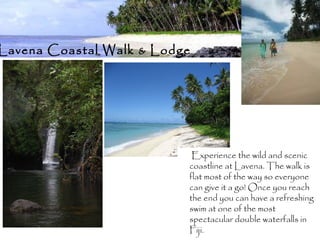 Lavena Coastal Walk & Lodge
Experience the wild and scenic
coastline at Lavena. The walk is
flat most of the way so everyone
can give it a go! Once you reach
the end you can have a refreshing
swim at one of the most
spectacular double waterfalls in
Fiji.
 