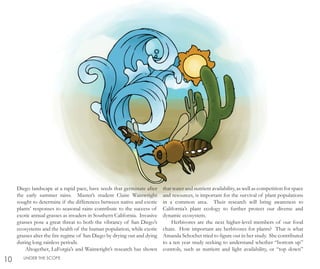 Diego landscape at a rapid pace, have seeds that germinate after
the early summer rains. Master’s student Claire Wainwright
sought to determine if the differences between native and exotic
plants’ responses to seasonal rains contribute to the success of
exotic annual grasses as invaders in Southern California. Invasive
grasses pose a great threat to both the vibrancy of San Diego’s
ecosystems and the health of the human population, while exotic
grasses alter the fire regime of San Diego by drying out and dying
during long rainless periods.
Altogether, LaForgia’s and Wainwright’s research has shown
that water and nutrient availability, as well as competition for space
and resources, is important for the survival of plant populations
in a common area. Their research will bring awareness to
California’s plant ecology to further protect our diverse and
dynamic ecosystem.
Herbivores are the next higher-level members of our food
chain. How important are herbivores for plants? That is what
Amanda Schochet tried to figure out in her study. She contributed
to a ten year study seeking to understand whether “bottom up”
controls, such as nutrient and light availability, or “top down”
10 UNDER THE SCOPE
 