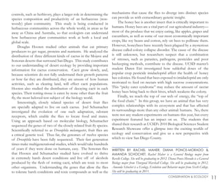 controls, such as herbivory, plays a larger role in determining the
species composition and productivity of an herbaceous (non-
woody) plant community. This study is being conducted in
herbaceous communities across the whole world, in areas as far
away as China and Australia, so that ecologists can understand
how herbaceous plant communities work at both a local and
global scale.
Douglas Hooten studied other animals that eat primary
producers to get sugar, proteins and nutrients. He analyzed the
distribution of three different kinds of cactus in the Mojave and
Sonoran deserts that surround San Diego. This study contributes
to our understanding of desert ecology by providing important
information for cactus conservation. Cacti grow slowly, and,
because scientists do not fully understand their growth patterns
or how far they are distributed, they are unsure of how human
activities, such as clearing land, will effect cacti populations.
Hooten also studied the distribution of decaying cacti in each
species. Their rotting tissue is eaten by none other than the fruit
fly, the most beloved test subject of the biology world.
Interestingly, closely related species of desert fruit flies
are specially adapted to live on each cactus. Joel Schumacher
investigated the evolution of one such adaptation, odorant
receptors, which enable the flies to locate food and mates.
Using an approach based on molecular biology, Schumacher
sequenced the genes of two of the closely related fruit fly species.
Scientifically referred to as Drosophila melanogaster, fruit flies are
a critical genetic tool. Thus far, the genomes of twelve species
of Drosophila have been fully sequenced. Their fast generation
times make multigenerational studies, which would take hundreds
of years if they were done on humans, easy. The Sonoran flies
that Hooten and Schumacher studied have evolved to thrive
in extremely harsh desert conditions and live off of alcohols
produced by the flesh of rotting cacti, which are toxic to most
other organisms. Understanding the genes that allow the flies
to tolerate harsh conditions and toxic compounds as well as the
mechanisms that cause the flies to diverge into distinct species
can provide us with extraordinary genetic insight.
The honey bee is another insect that is critically important to
humans. Honey bees are a vital part of our agricultural industry—
most of the produce that we enjoy eating, like apples, grapes and
cucumbers, as well as some of our most economically important
crops, like soy beans and cotton, rely on bees to pollinate them.
However, honeybees have recently been plagued by a mysterious
disease called colony collapse disorder. The cause of the disease
is still unknown, but researchers suspect that a combination
of stresses, such as parasites, pathogens, pesticides and poor
beekeeping methods, contribute to the disease. UCSD master’s
student Daren Eiri investigated how sublethal doses of the
popular crop pesticide imidacloprid affect the health of honey
bee colonies. He found that bees exposed to imidacloprid are only
motivated to feed on nectars with high sucrose concentrations.
This “picky eater syndrome” may reduce the amount of nectar
honey bees bring back to their hives, which weakens the colony.
Finally, we reach the top of our web of energy, the “top of
the food chain.” In this group, we have an animal that has very
complex relationships with its ecosystem and that has affected
its surroundings more than any other animal: humans. No, there
were not any student experiments on humans this year, but every
experiment featured has an impact on us. The students that
shared their research at UCSD’s 2010 Biological Sciences Student
Research Showcase offer a glimpse into the exciting worlds of
ecology and conservation and give us a new perspective with
which to view San Diego County.
11CONSERVATION & ECOLOGY
WRITTEN BY RACHEL MAHER, DIANA PONCE-MORADO &
AMANDA SCHOCHET. Rachel Maher is a General Biology major from
Revelle College. She will be graduating in 2012. Diana Ponce-Morado is a General
Biology major from Thurgood Marshall College. She will be graduating in 2012.
Amanda Schochet is a Ecology, Evolution and Behavior major from Sixth College.
She will be graduating in 2011.
 