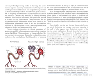 lab has produced promising results in alleviating the severe
immune response caused by multiple sclerosis. Vuong used her
knowledge of neuronal receptors and receptor binding in order
to illicit a specific response from mice who were given a form of
MS. To this group, she administered a receptor agonist, a chemical
that binds to a receptor by mimicking a naturally-occurring
substance. After low-dose injections of the agonist were injected
in the mice each day for two weeks, Vuong discovered that the
receptors involved in inflammation became more tolerant to the
neuromuscular inflammation caused by MS. She describes this
process to be “like how college co-eds…talk about building up a
tolerance to alcohol and being able to drink more.”
Vuong’s findings concerning the clinical importance of
agonists to curtail MS inflammation present a new hope to victims
such as David Kyle. The commitment of Vuong and others like
her to research neuromuscular diseases has produced important
medications that have facilitated David Kyle’s hope of returning
to his triathlon career. At the age of 39, Kyle continues to train
for races and win competitions. He recently earned the title of
Triathlon National Champion for disabled athletes in 2007.
With the support of UCSD, young minds are being engaged
in world-class research that will greatly impact our understanding
of the fragility of the human nervous system. In the Ghosh lab,
Joseph Antonios’ use of novel microscopy techniques is revealing
new information about neuronal shape while Polly Huang of the
Yaksh lab is studying the effect of botulism on pain receptors in
mice.
These insights into the way that the human mind works
are utterly fascinating, but perhaps even more interesting is
the study of what happens when the intricate circuitry of the
nervous system malfunctions. Research about the hippocampus
may elucidate more of the complexities of the aging brain, while
experimentation with inflammation in animal models can lead
to new medications for neuromuscular diseases plaguing young
people. The breadth of neurological research is not limited to just
this. Clearly, undergraduate research has the potential to shape the
course of neurological research and revolutionize our knowledge
of the brain, mind and neurological diseases.
19BRAIN, MIND & NEUROLOGICAL DISEASES
Picture courtesy of http://www.emedicinehealth.com/myelin_and_the_central_nervous_
system/page2_em.htm
In multiple sclerosis, T cells attack and destroy the myelin sheath,
leaving the nerve cell fibers unprotected.
WRITTEN BY JOSEPH ALESHAKI & ANELAH MCGINNESS. Joseph
Aleshaki is a Human Biology major from Thurgood Marshall college. He will be
graduating in 2013. Anelah McGinness is a Physiology and Neuroscience and
Spanish literature major from Revelle College. She will be graduating in 2013.
 