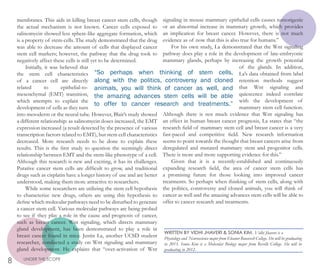 membranes. This aids in killing breast cancer stem cells, though
the actual mechanism is not known. Cancer cells exposed to
salinomycin showed less sphere-like aggregate formation, which
is a property of stem-cells. The study demonstrated that the drug
was able to decrease the amount of cells that displayed cancer
stem cell markers; however, the pathway that the drug took to
negatively affect these cells is still yet to be determined.
Initially, it was believed that
the stem cell characteristics
of a cancer cell are directly
related to epithelial-to-
mesenchymal (EMT) transition,
which attempts to explain the
development of cells as they turn
into mesoderm or the neural tube. However, Blair’s study showed
a different relationship: as salinomycin doses increased, the EMT
expression increased (a result detected by the presence of various
transcription factors related to EMT), but stem cell characteristics
decreased. More research needs to be done to explain these
results. This is the first study to question the seemingly direct
relationship between EMT and the stem-like phenotype of a cell.
Although this research is new and exciting, it has its challenges.
Putative cancer stem cells are difficult to grow, and traditional
drugs such as cisplatin have a longer history of use and are better
understood, making them more attractive to researchers.
While some researchers are utilizing the stem cell hypothesis
to characterize new drugs, others are using this hypothesis to
define which molecular pathways need to be disturbed to generate
a cancer stem cell. Various molecular pathways are being probed
to see if they play a role in the cause and prognosis of cancer,
such as breast cancer. Wnt signaling, which directs mammary
gland development, has been demonstrated to play a role in
breast cancer found in mice. Justin La, another UCSD student
researcher, conducted a study on Wnt signaling and mammary
gland development. He explains that “over-activation of Wnt
signaling in mouse mammary epithelial cells causes tumorigenic
or an abnormal increase in mammary growth, which provides
an implication for breast cancer. However, there is not much
evidence as of now that this is also true for humans.”
For his own study, La demonstrated that the Wnt signaling
pathway does play a role in the development of late-embryonic
mammary glands, perhaps by increasing the growth potential
of the glands. In addition,
La’s data obtained from label
retention methods suggest
that Wnt signaling and
quiescence indeed correlate
with the development of
mammary stem cell function.
Although there is not much evidence that Wnt signaling has
an effect in human breast cancer prognosis, La states that “the
research field of mammary stem cell and breast cancer is a very
fast-paced and competitive field. New research information
seems to point towards the thought that breast cancers arise from
deregulated and mutated mammary stem and progenitor cells.
There is more and more supporting evidence for this.”
Given that it is a recently-established and continuously
expanding research field, the area of cancer stem cells has
a promising future for those looking into improved cancer
treatments. So perhaps when thinking of stem cells, along with
the politics, controversy and cloned animals, you will think of
cancer as well and the amazing advances stem cells will be able to
offer to cancer research and treatments.
“So perhaps when thinking of stem cells,
along with the politics, controversy and cloned
animals, you will think of cancer as well, and
the amazing advances stem cells will be able
to offer to cancer research and treatments.”
8 UNDER THE SCOPE
WRITTEN BY VIDHI JHAVERI & SONIA KIM. Vidhi Jhaveri is a
Physiology and Neuroscience major from Eleanor Roosevelt College. She will be graduating
in 2013. Sonia Kim is a Molecular Biology major from Revelle College. She will be
graduating in 2012.
 