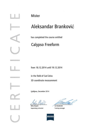 Certificate Calypso Freeform Training Aleksandar Branković