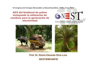 ACV del biodiesel de palma
incluyendo la utilización de
resíduos para la generación de
electricidad
IV Congreso de Energias Renovables y Biocombustibles, UNAL, Lima, Perú
Prof. Dr. Electo Eduardo Silva Lora
NEST/IEM/UNIFEI
 