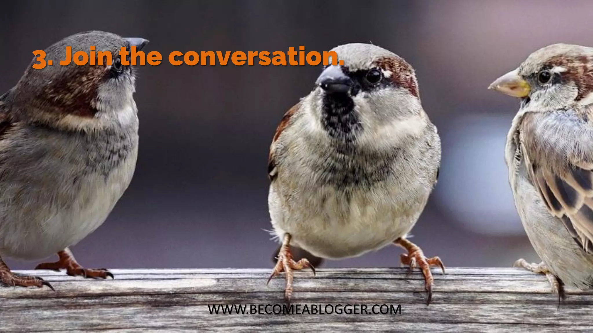WWW.BECOMEABLOGGER.COM
3. Join the conversation.
 
