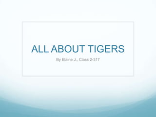ALL ABOUT TIGERS
By Elaine J., Class 2-317
 