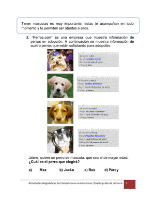 Actividades diagnósticas de Competencias matemáticas |Cuarto grado de primaria 5
Tener mascotas es muy importante, estas te acompañan en todo
momento y te permiten ser atentos a ellos.
3. “Perros.com” es una empresa que muestra información de
perros en adopción. A continuación se muestra información de
cuatro perros que están solicitando para adopción.
Jaime, quiere un perro de mascota, que sea el de mayor edad.
¿Cuál es el perro que elegirá?
a) Max b) Jacko c) Rex d) Percy
 